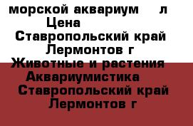 морской аквариум 450л › Цена ­ 100 000 - Ставропольский край, Лермонтов г. Животные и растения » Аквариумистика   . Ставропольский край,Лермонтов г.